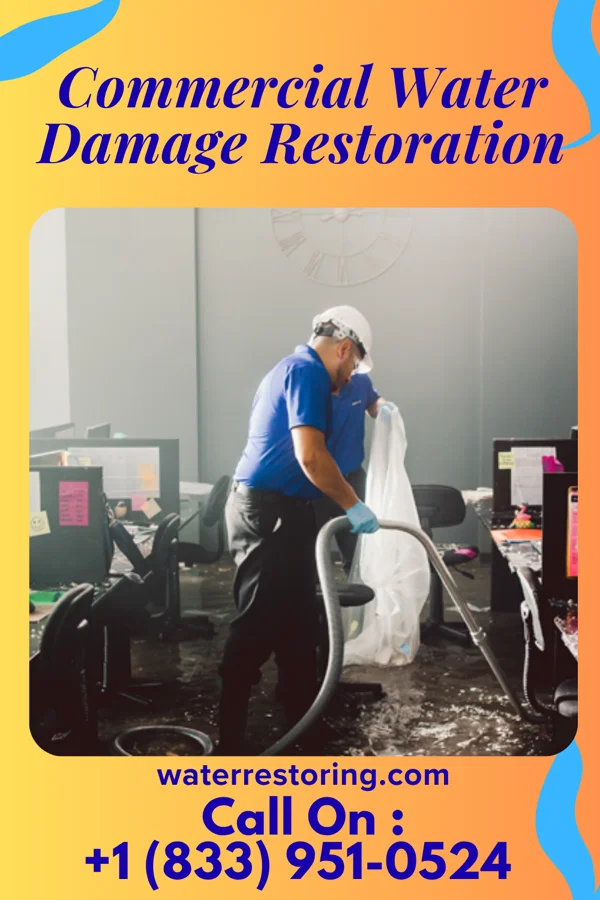 Commercial Water Damage Restoration in Maize, KS
