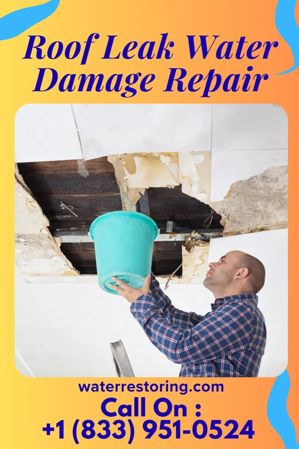 Roof Leak Water Damage Repair in Maize, KS